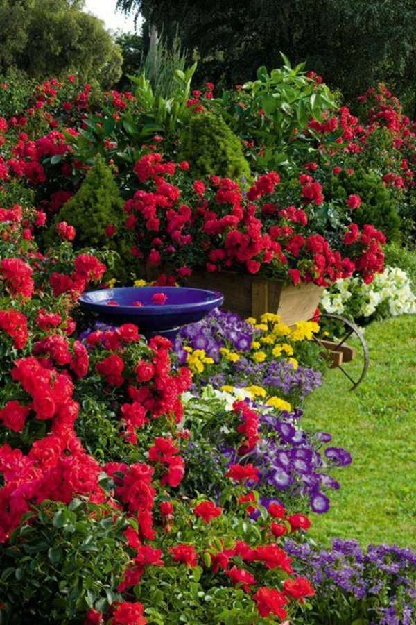 Rose Garden Home Design Ideas