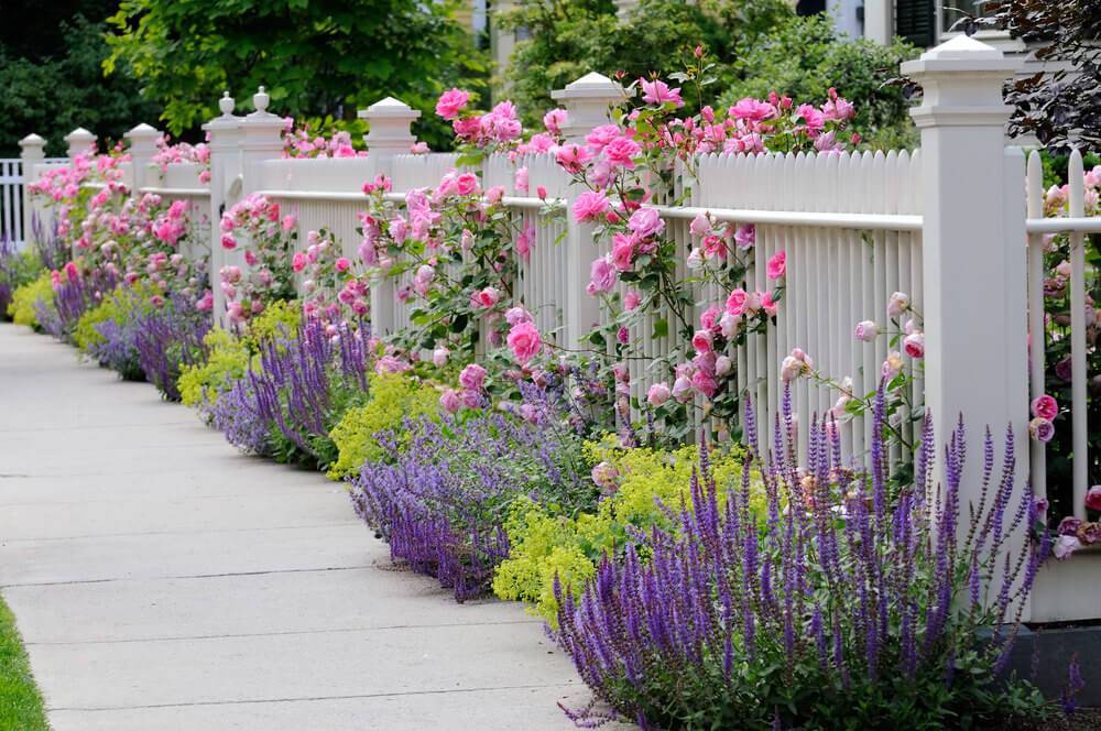 Best Garden Bed Borders Ideas