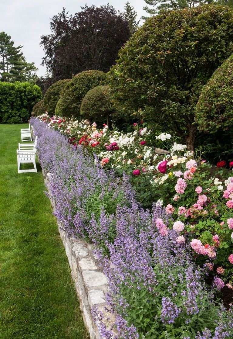 Beautiful Walkway Rose Garden Design