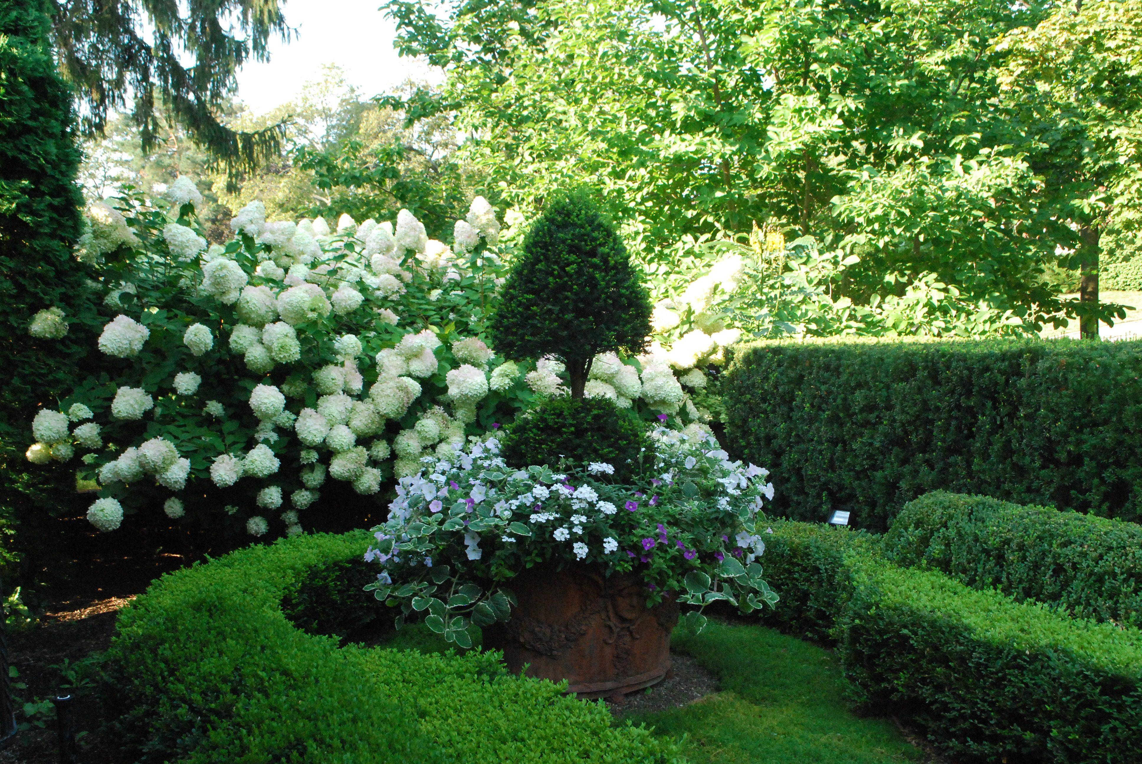 Container Gardening