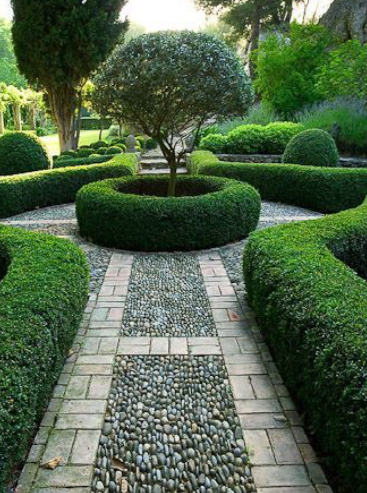 Boxwoods Topiary