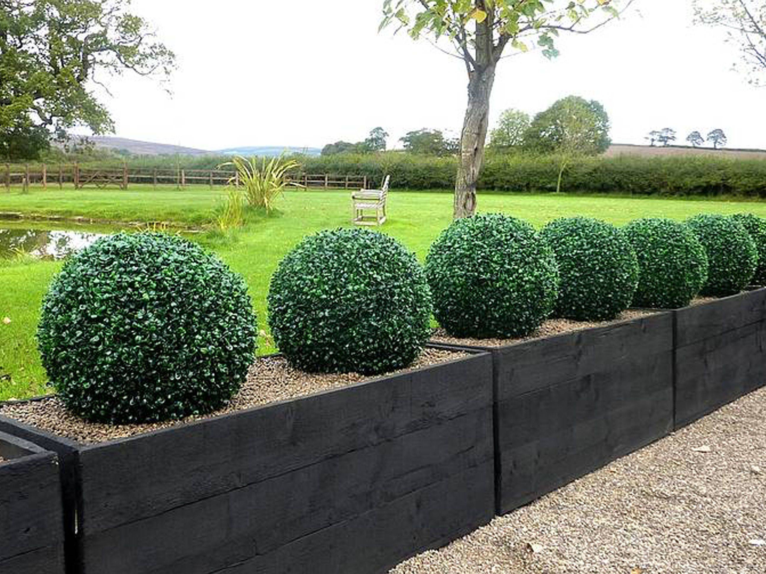 Ivy Clad Boxwood Garden