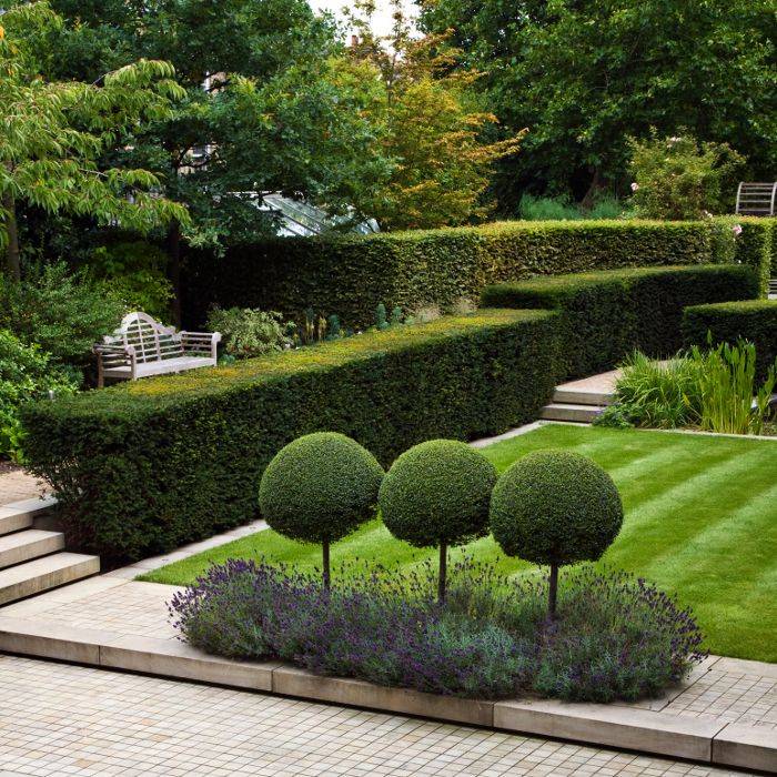 Landscaping With Boxwoods And Hydrangeas Whatsoeverish English