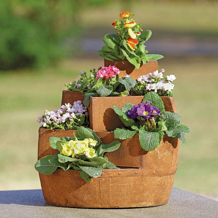 Regnier Iron Wall Planter