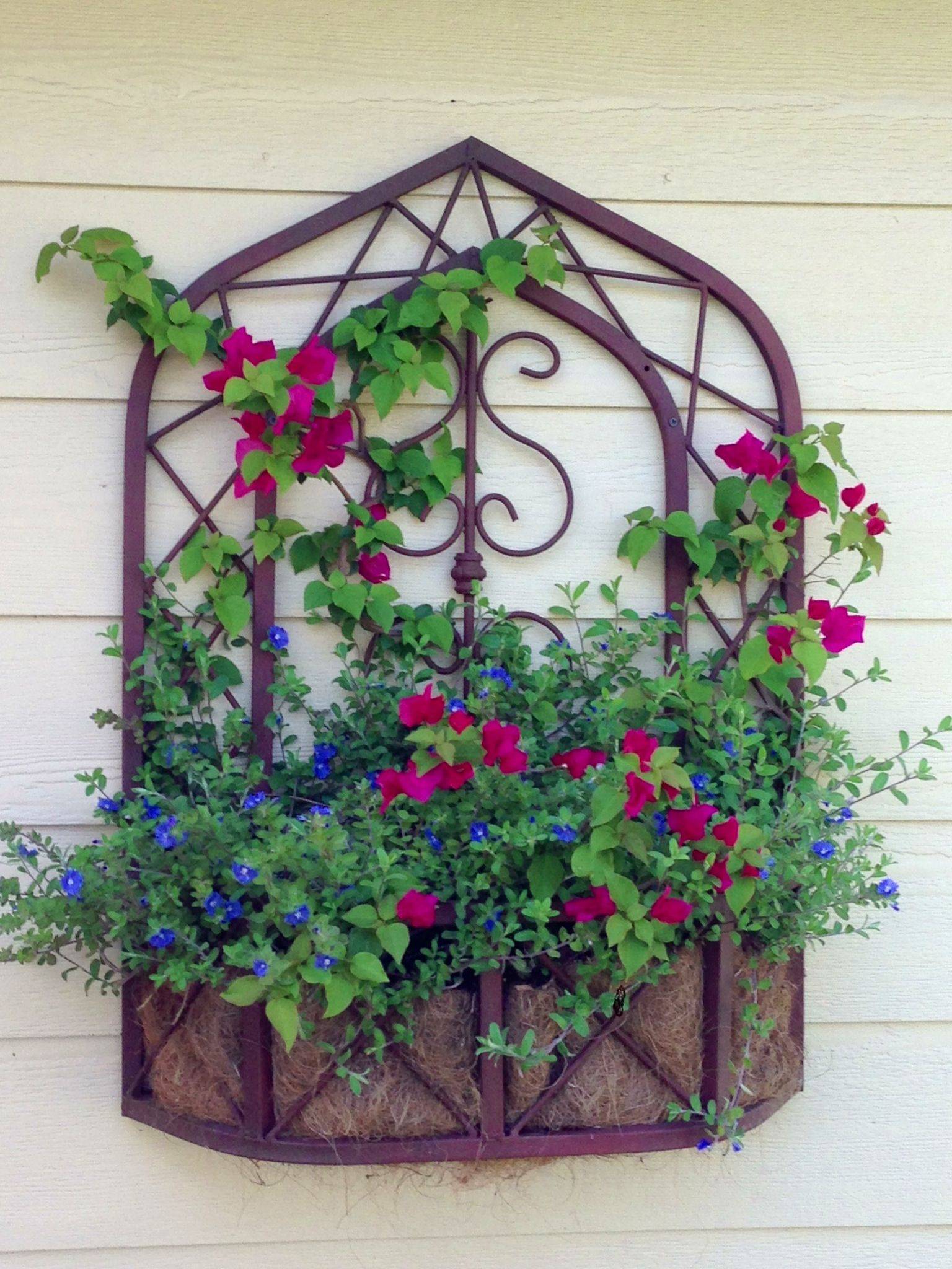 Reservedrusty Wrought Iron Wall Or Fence Plant Holder