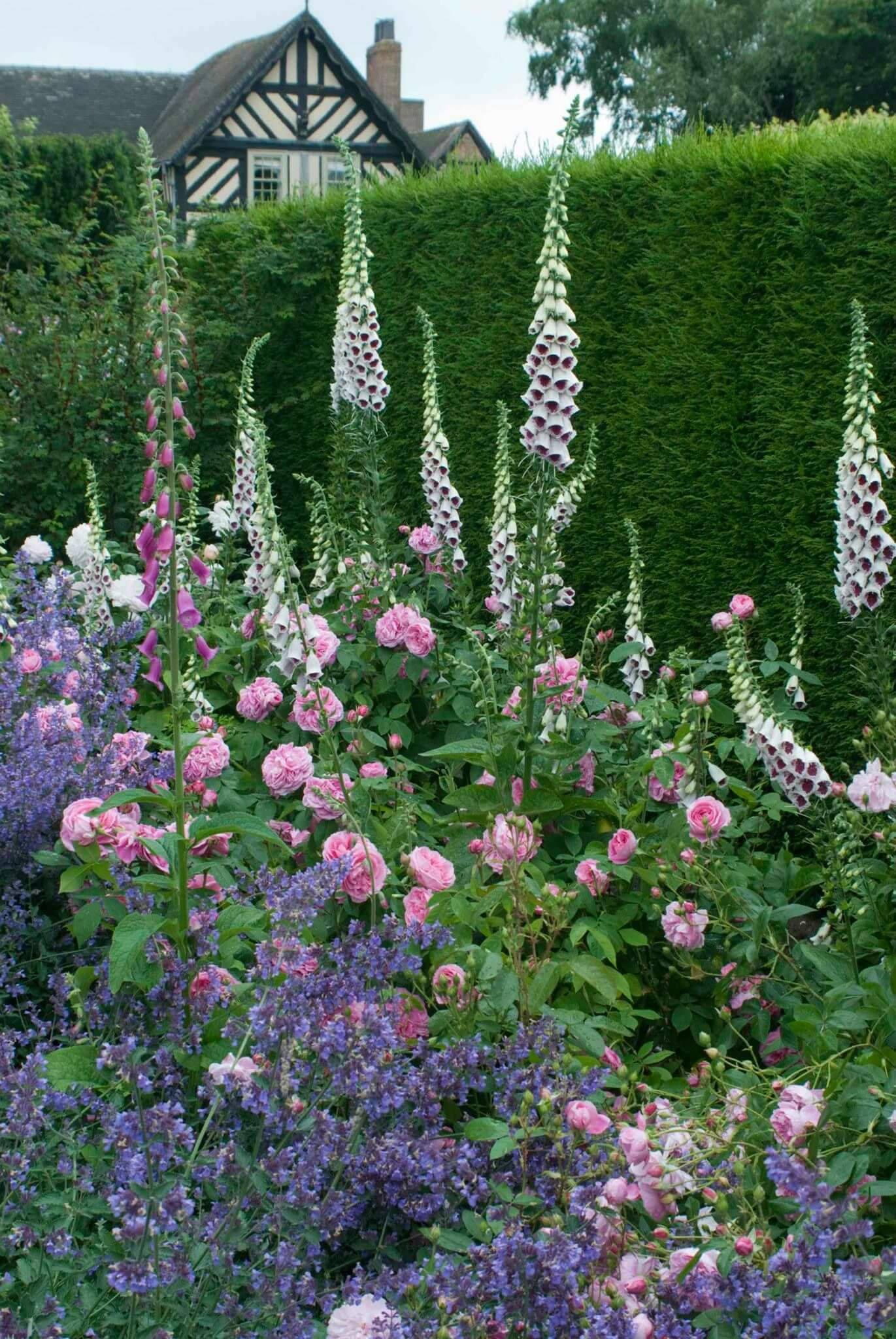 English Garden Design Ideas