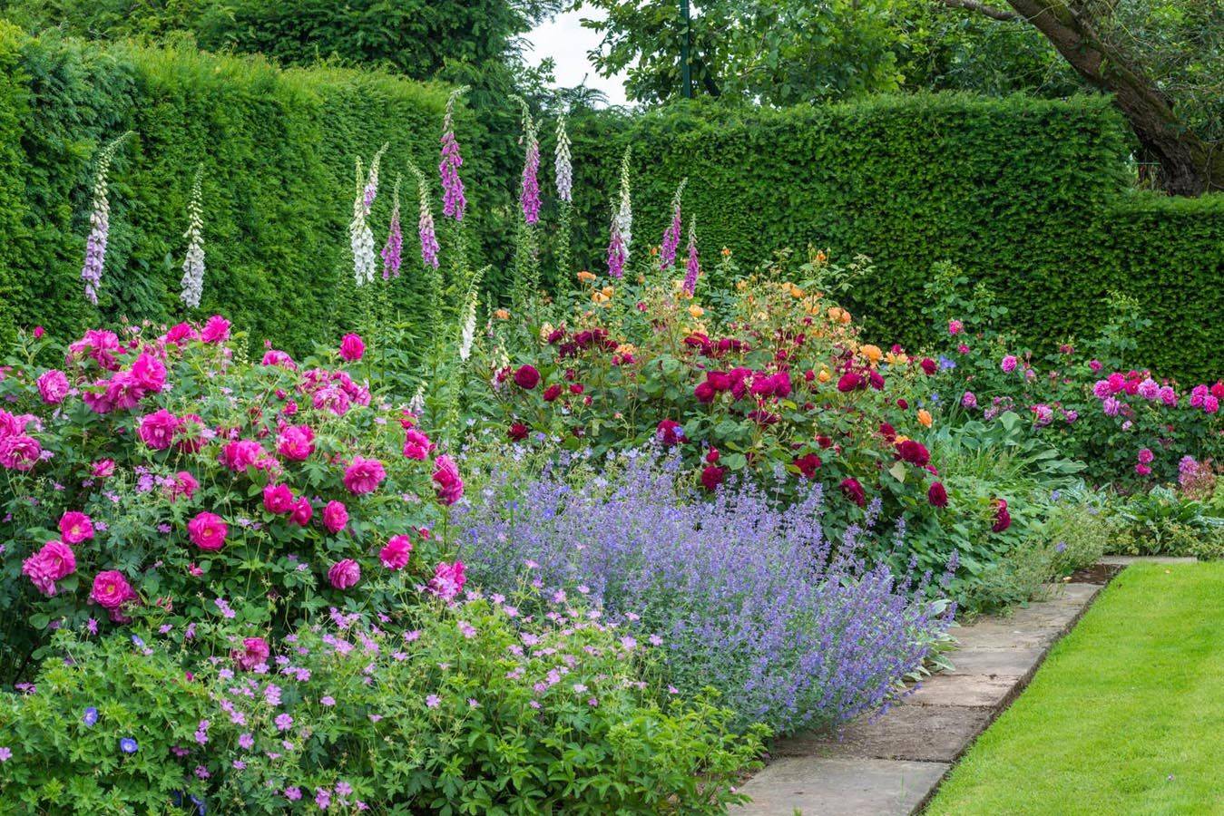 English Cottage Garden Home Nature Flowers