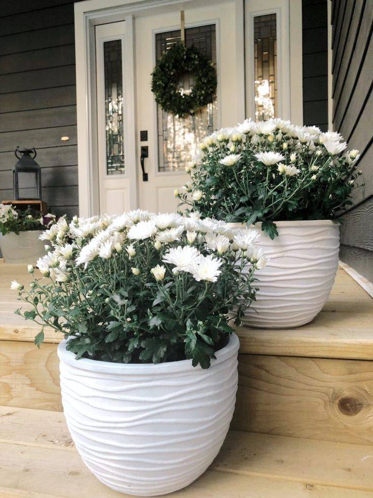 Tall Pots Planters Ideas