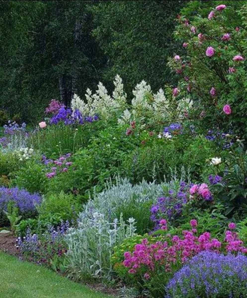 English Shade Garden Small Cottage Garden Ideas