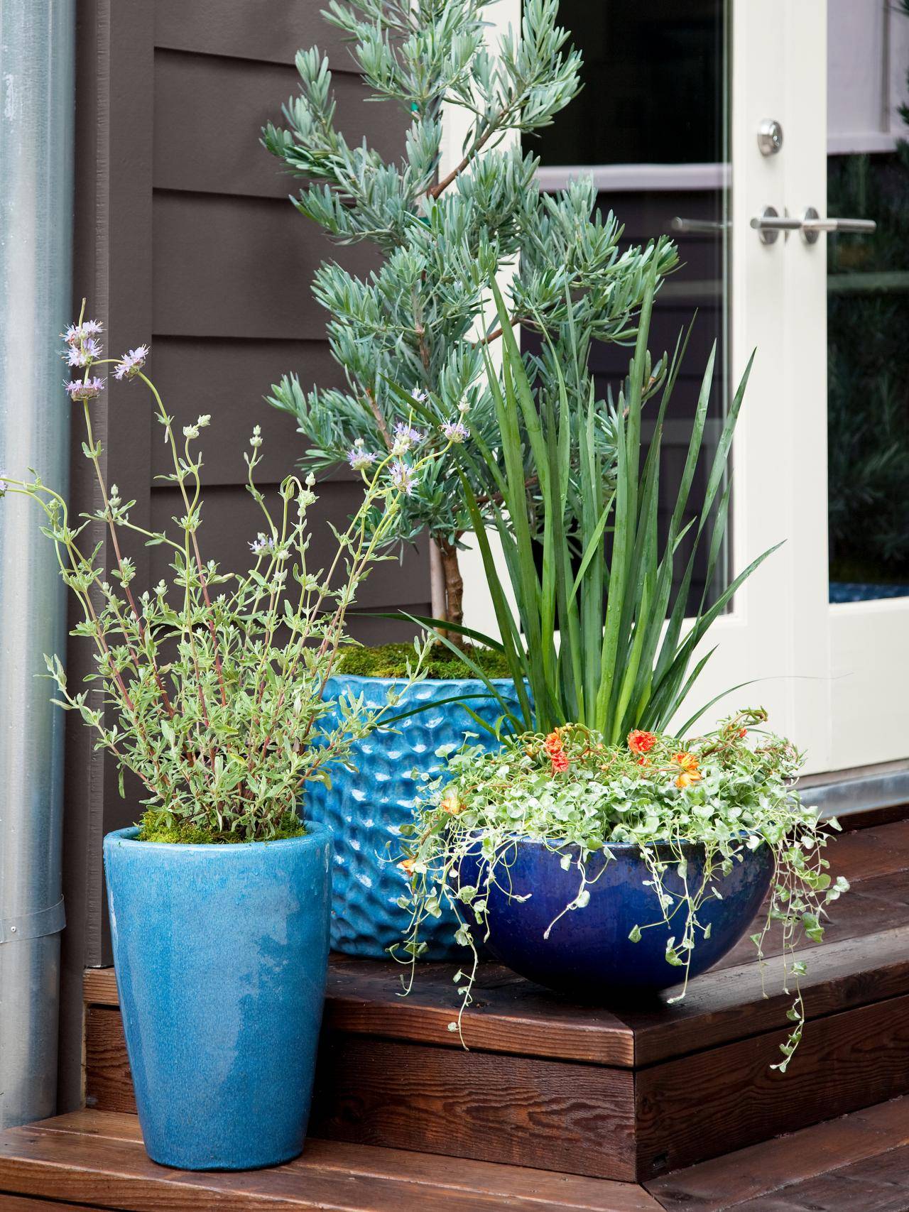 Beauty Gardenfountainscom Blog