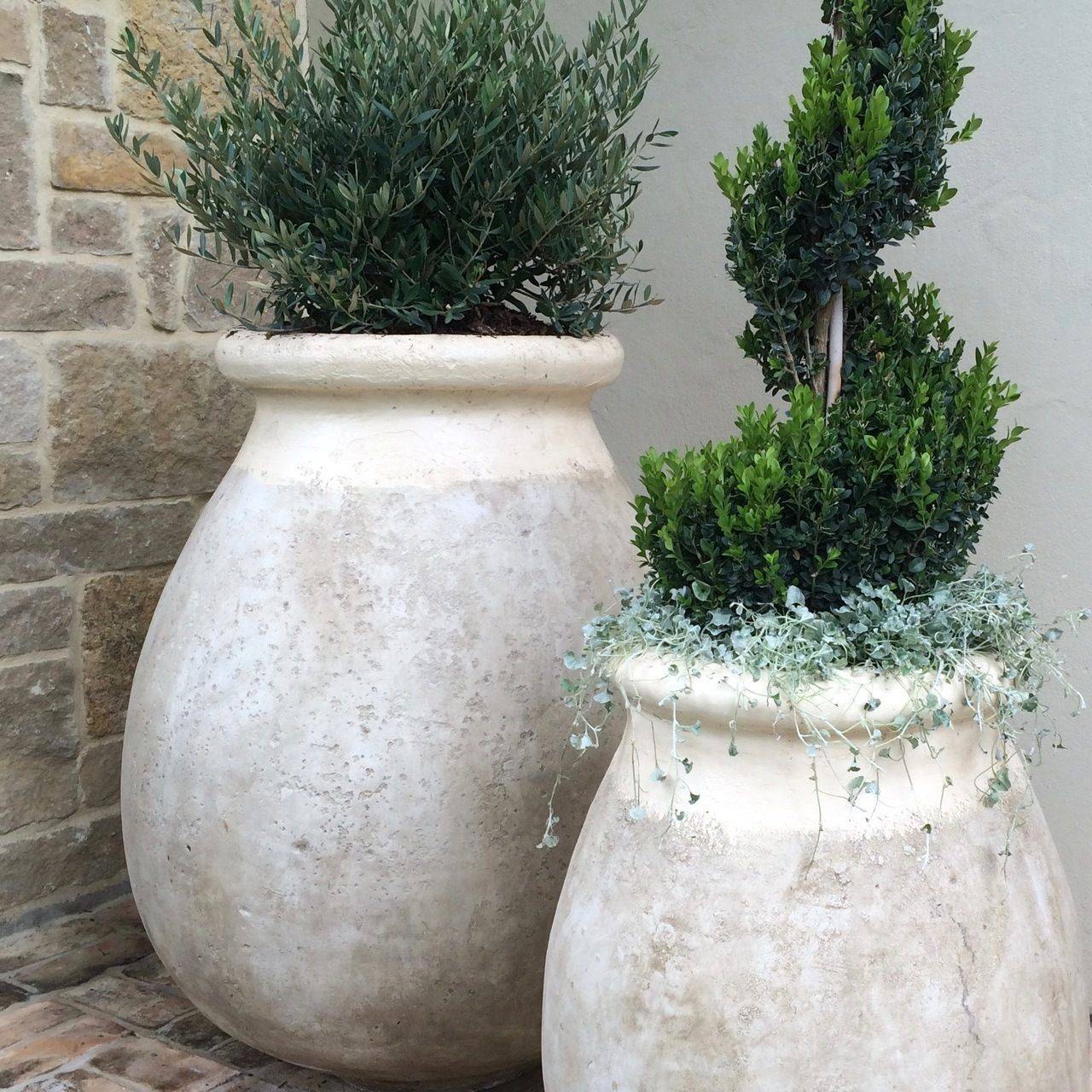 Beautiful Flower Pots