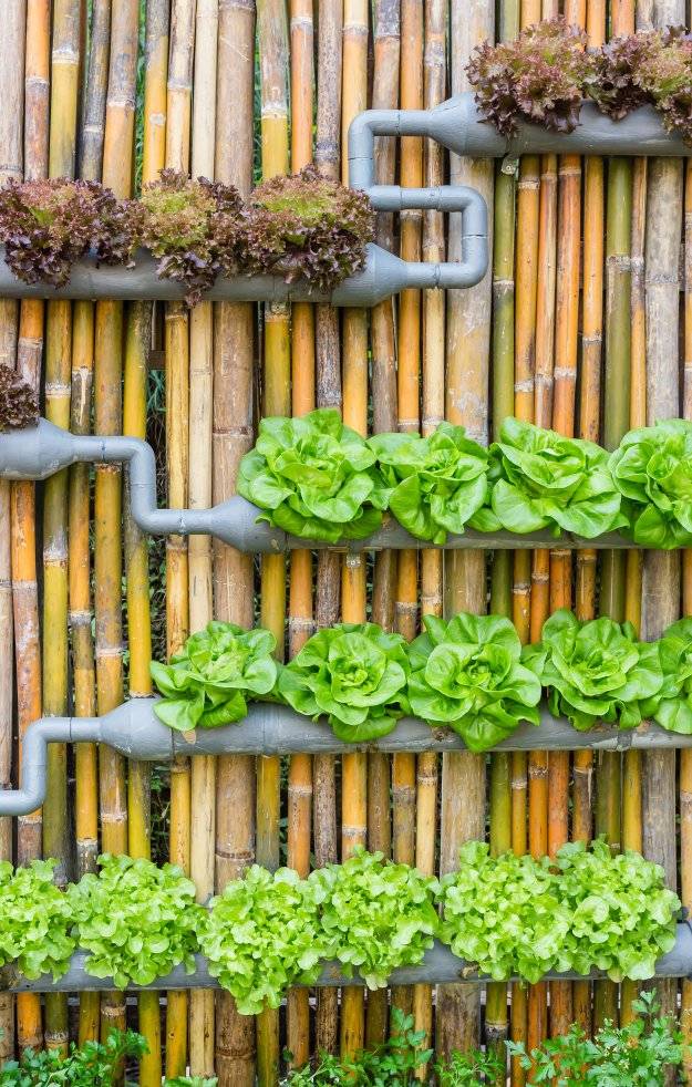 Spacesaving Vertical Garden Ideas
