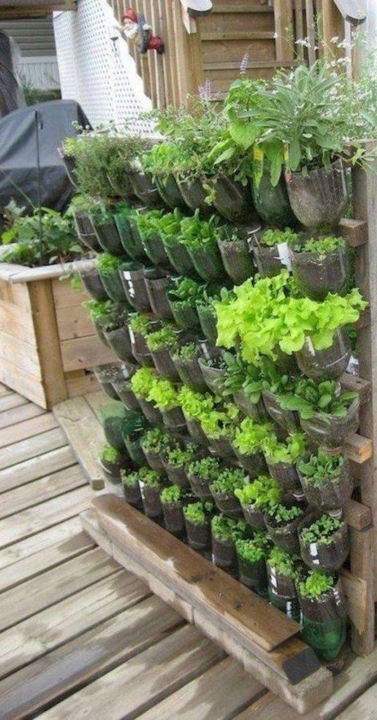Gorgeous Vertical Garden Ideas