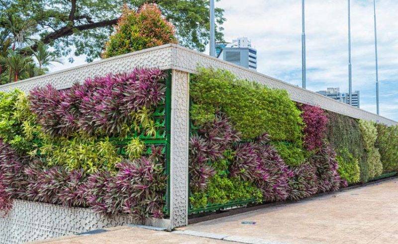 Diy Vertical Gardening Ideas