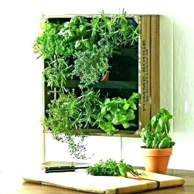 21 Vertical Garden Kit Ideas Worth to Check SharonSable