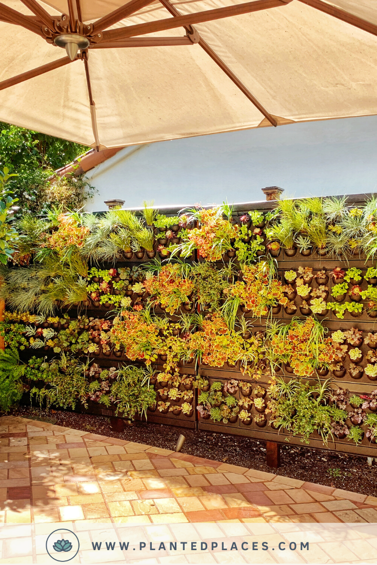Walls Vertical Garden Systems