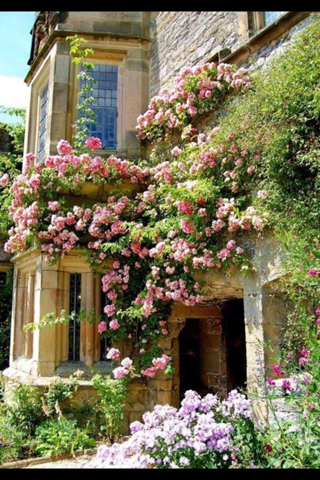 English Rose Garden