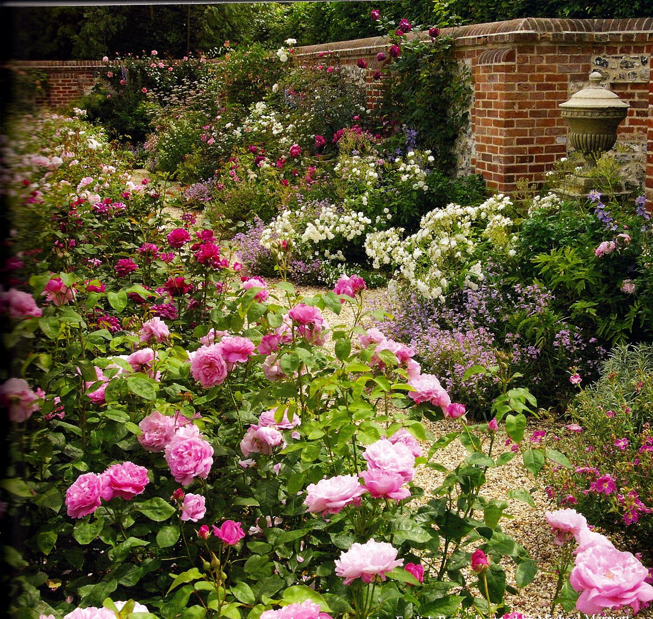22 French Rose Garden Ideas To Try This Year SharonSable