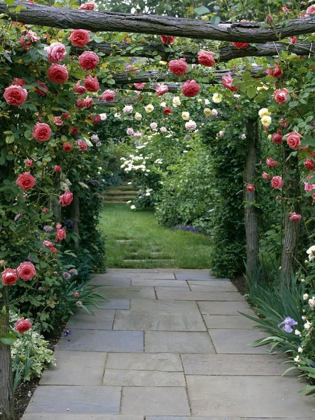 Provence France French Cottage Garden