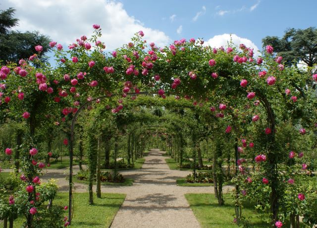 A French Garden