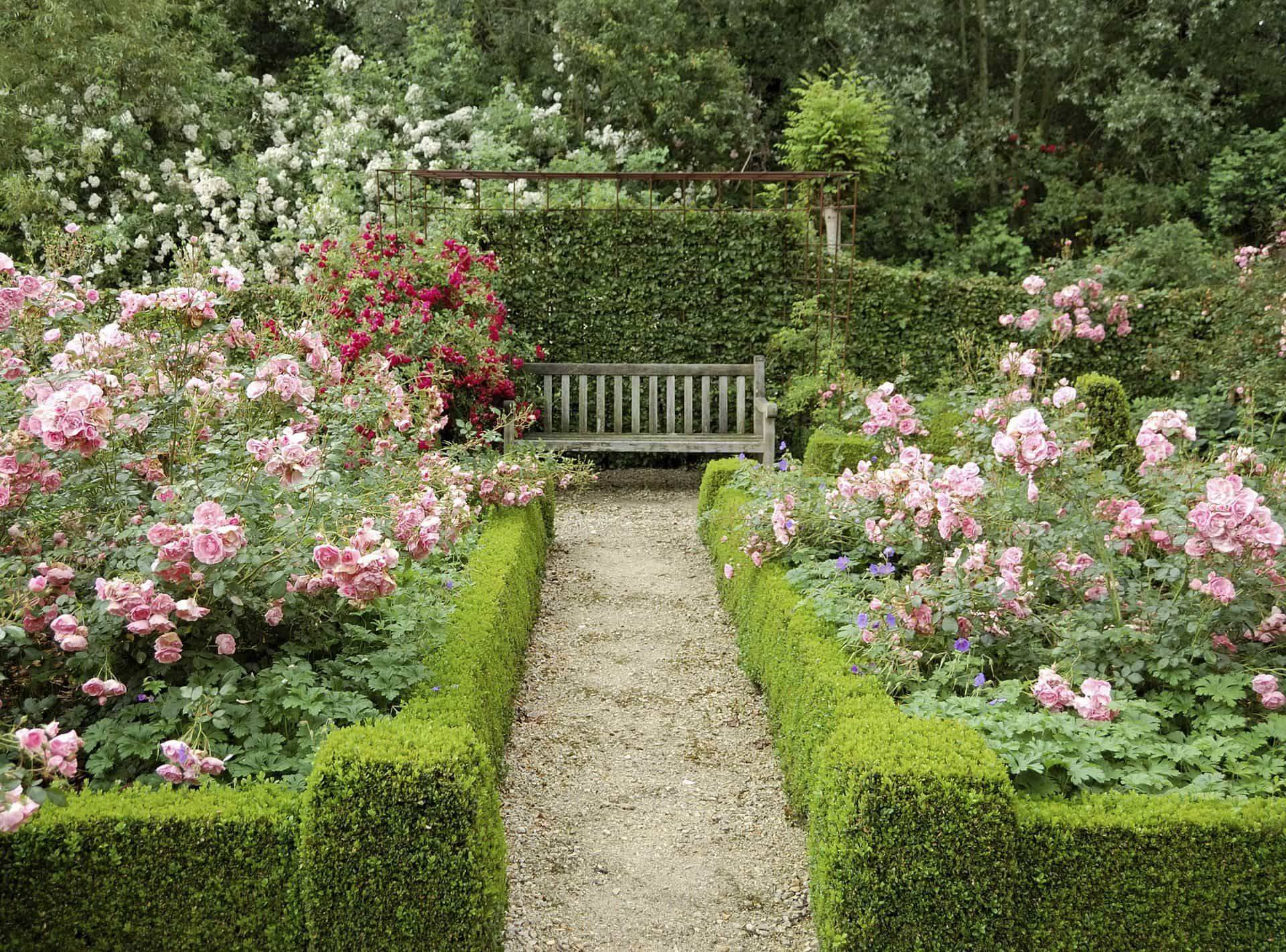 English Rose Garden Visualacousticdesign