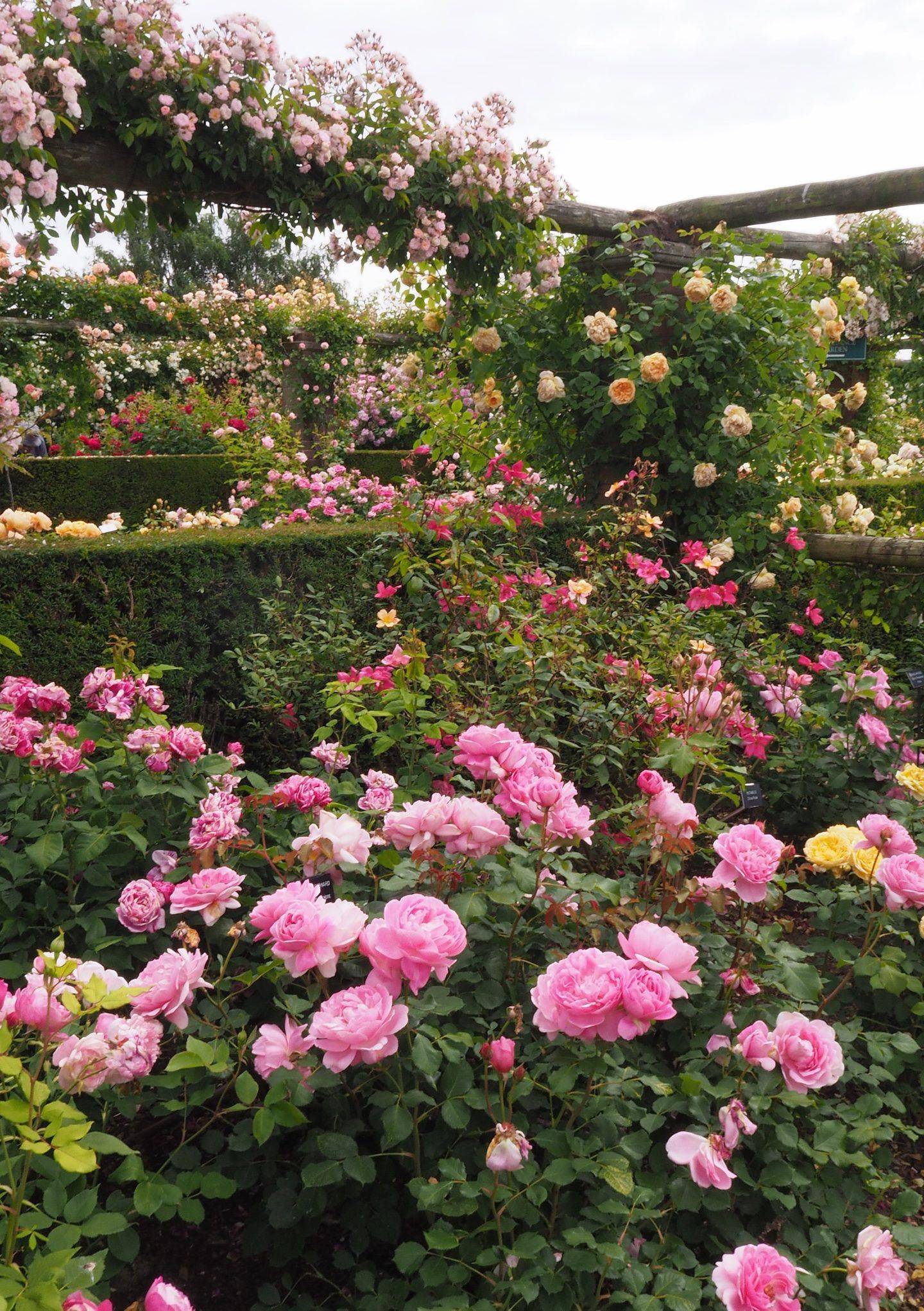 A Cottage Garden Womans Weekly