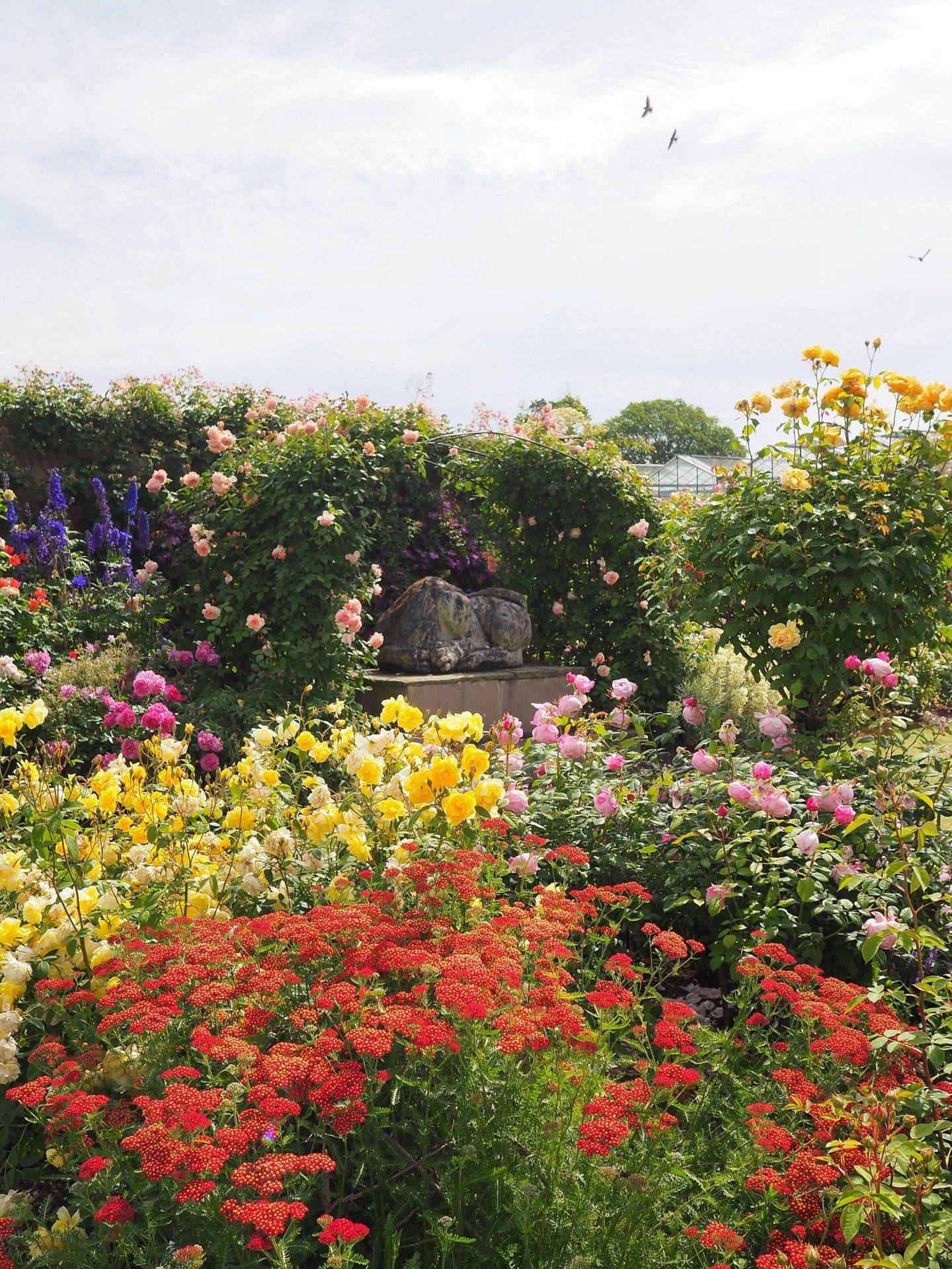France Gardenista