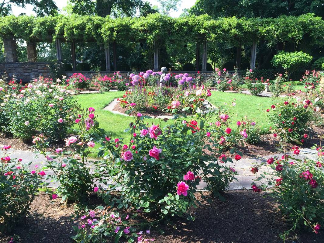 English Garden Design