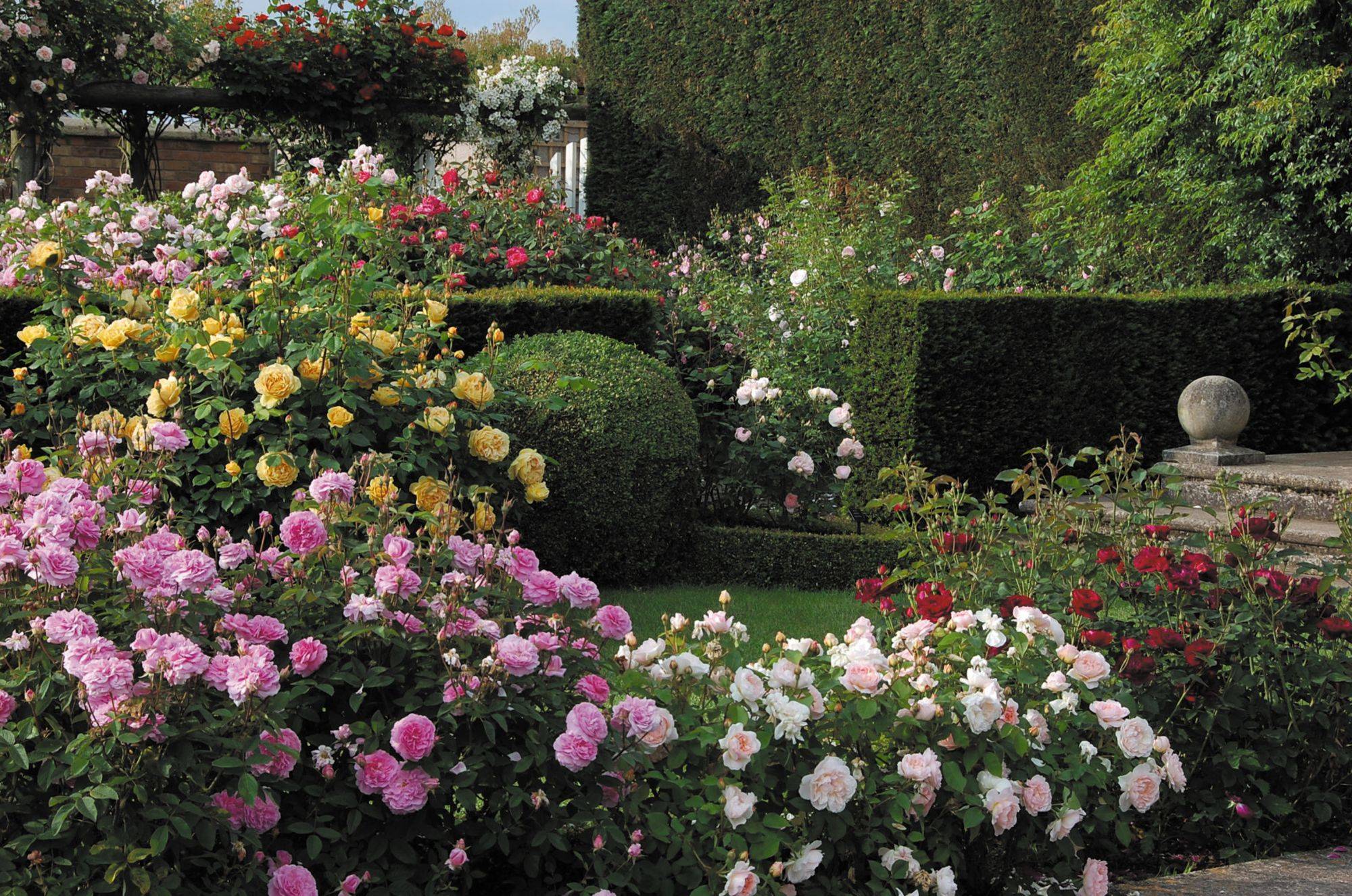 Rose Garden Design Ideas