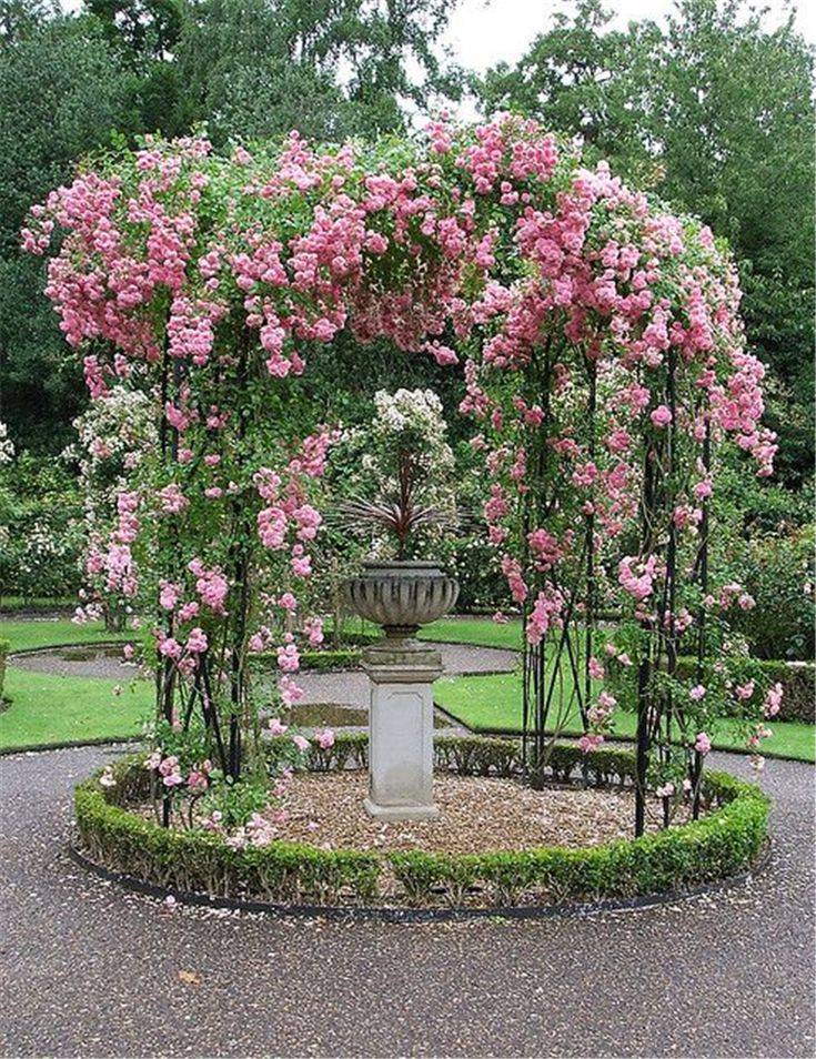 Rose Garden Design Tips Hgtv