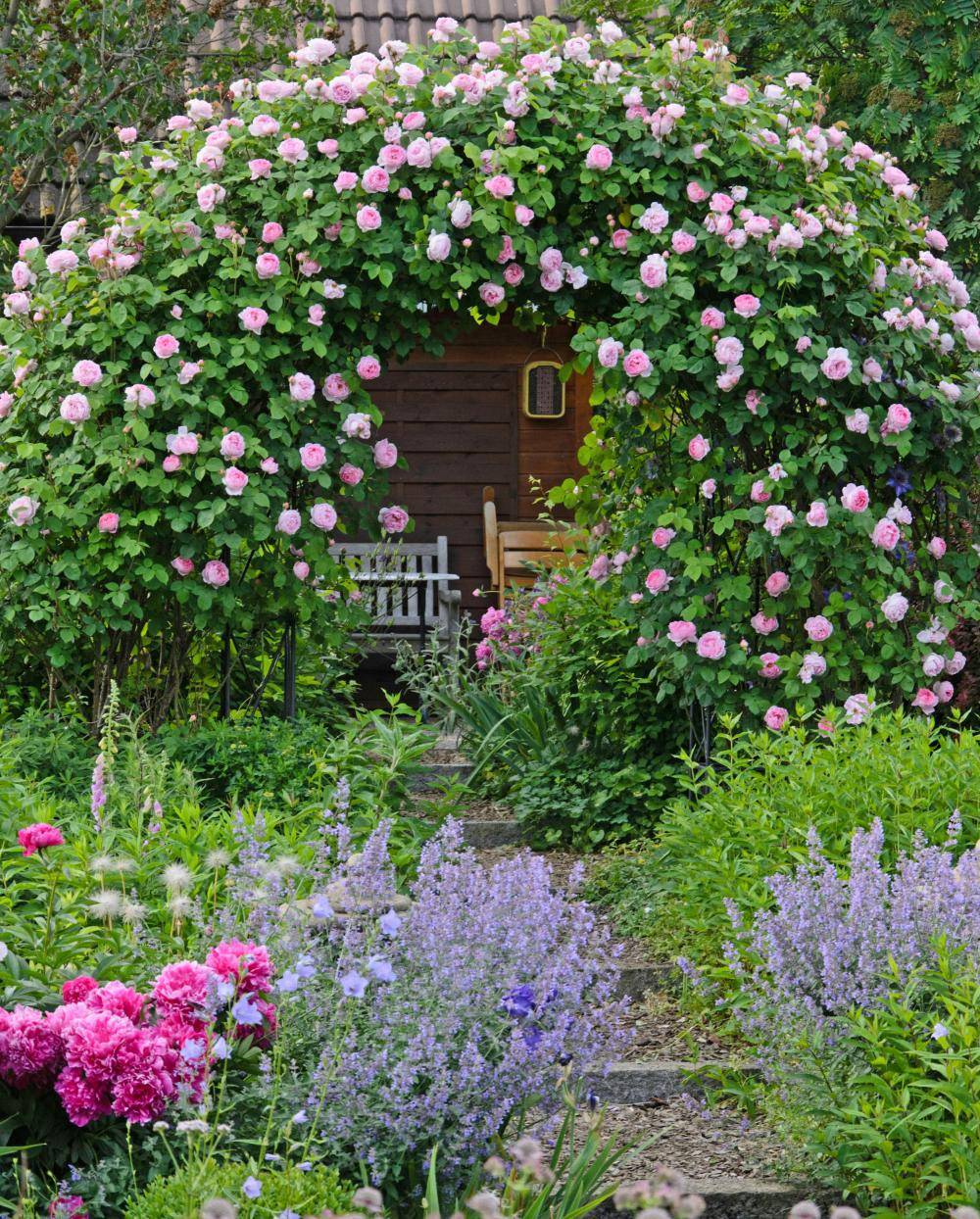 Stunning Rose Garden Design Ideas