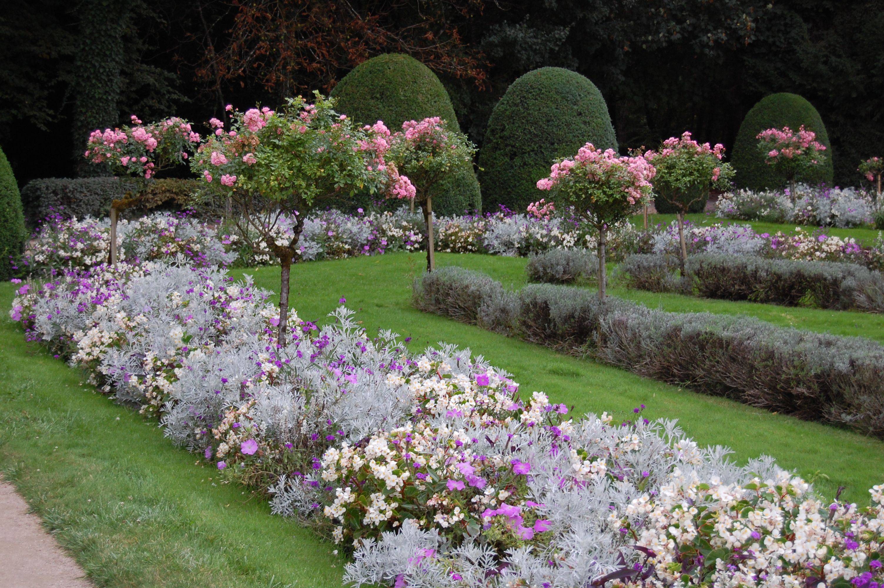 Excellent Good Looking Rose Garden Design