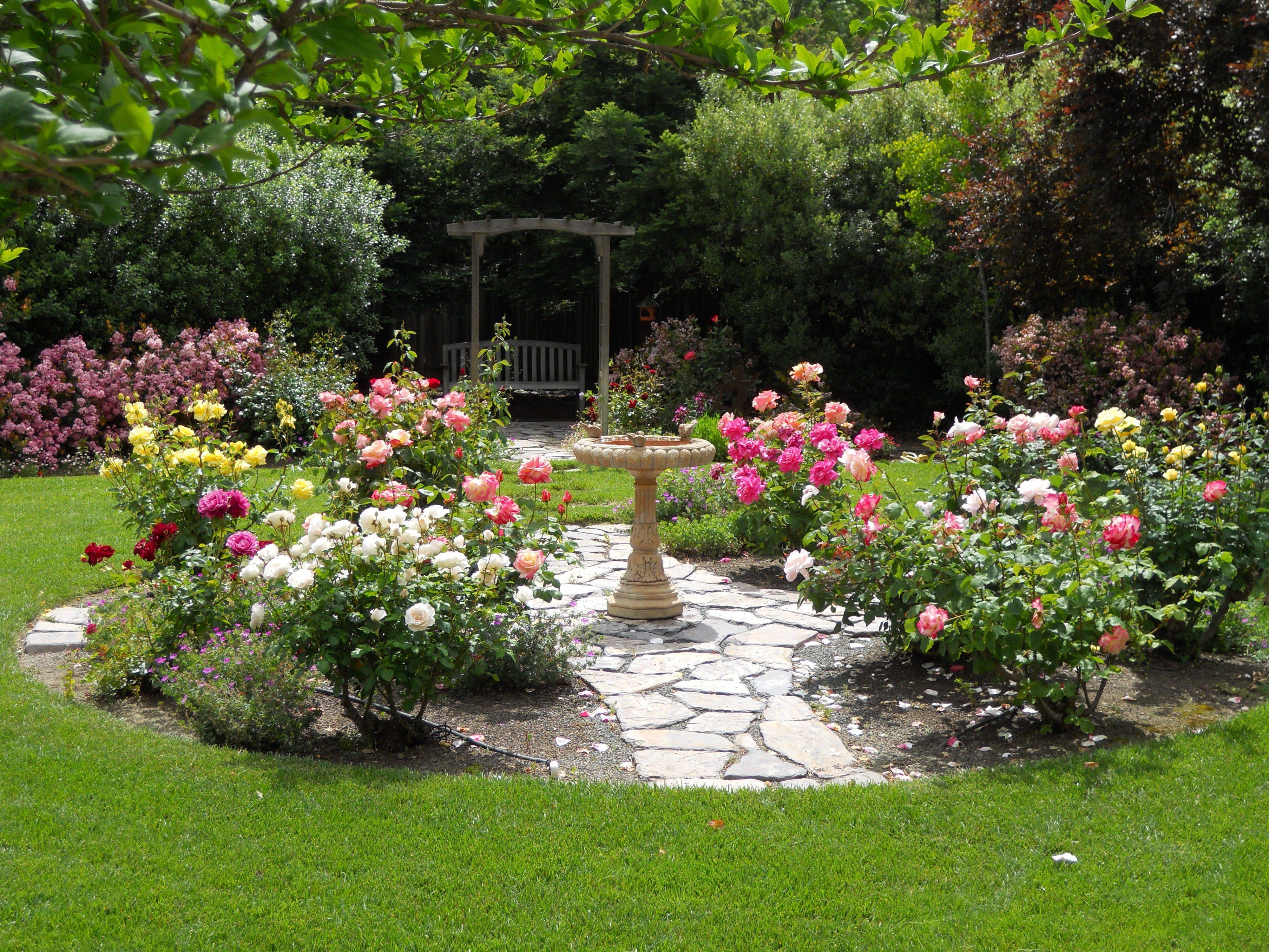 Small Rose Garden Design Ideas