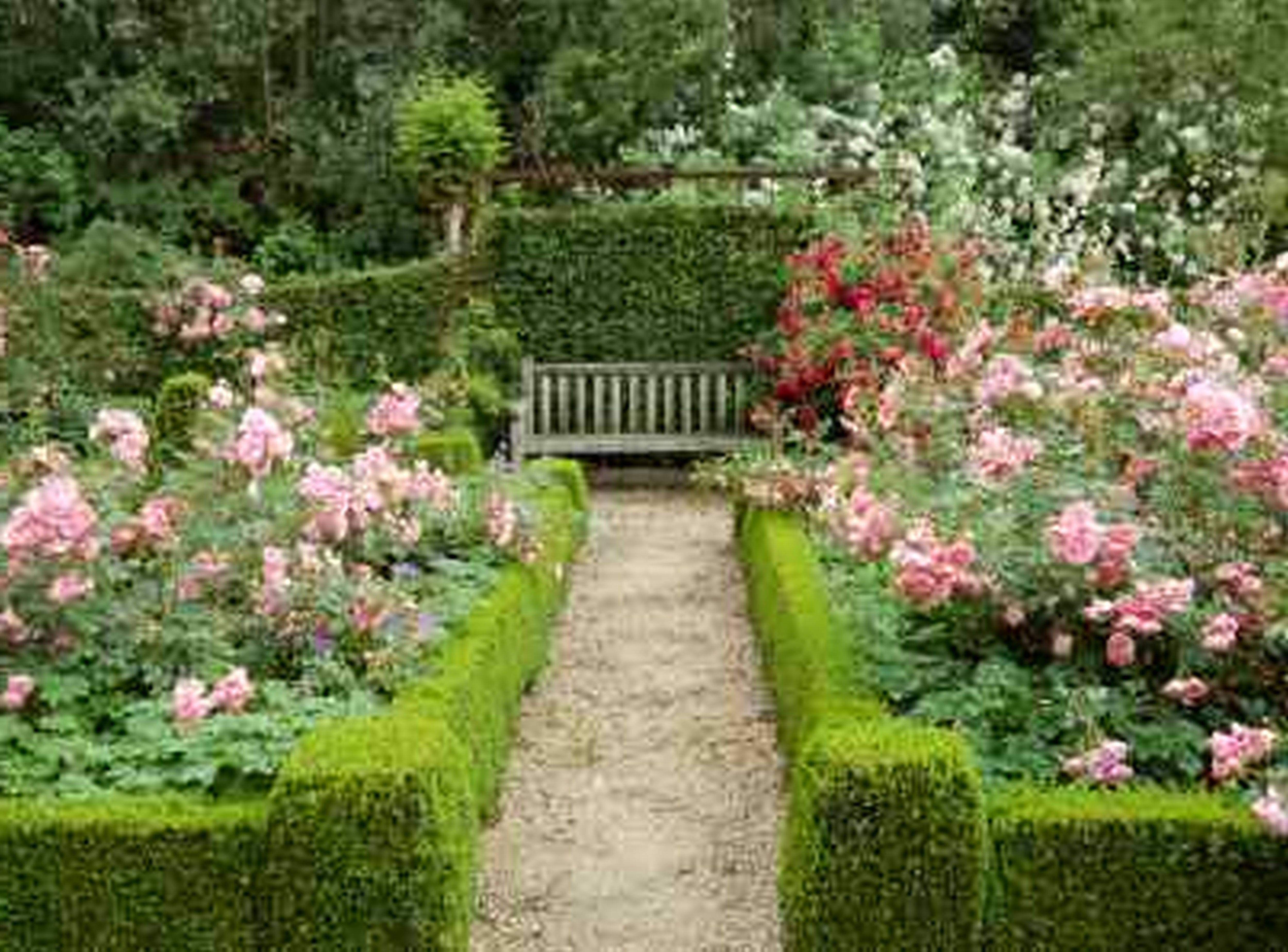 Stunning Rose Garden Design Ideas