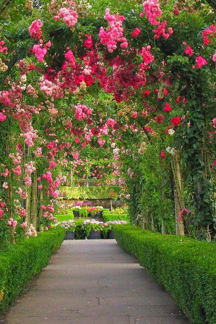 Rose Garden Design