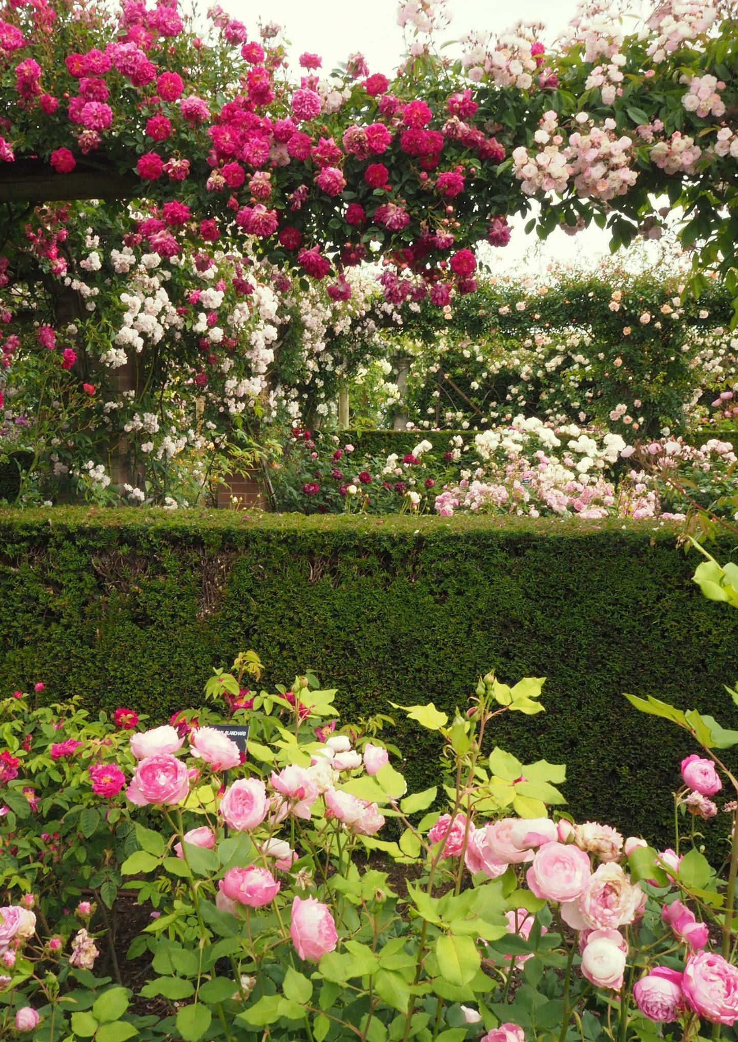 Garden Pergola Ideas