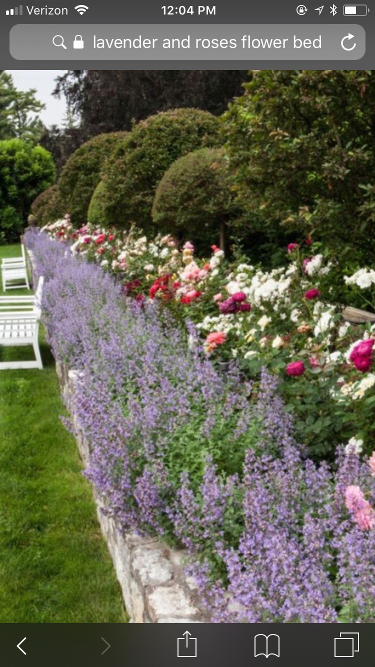 Lavender Garden Design Ideas