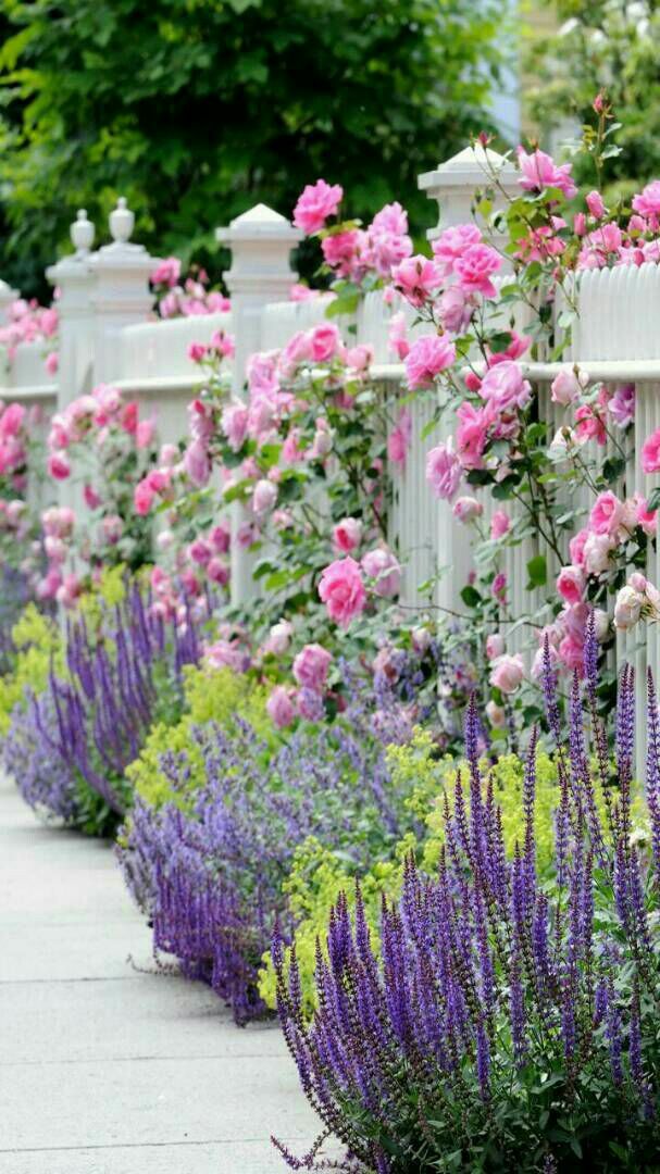 Lavender Traditional Landscape Vancouver