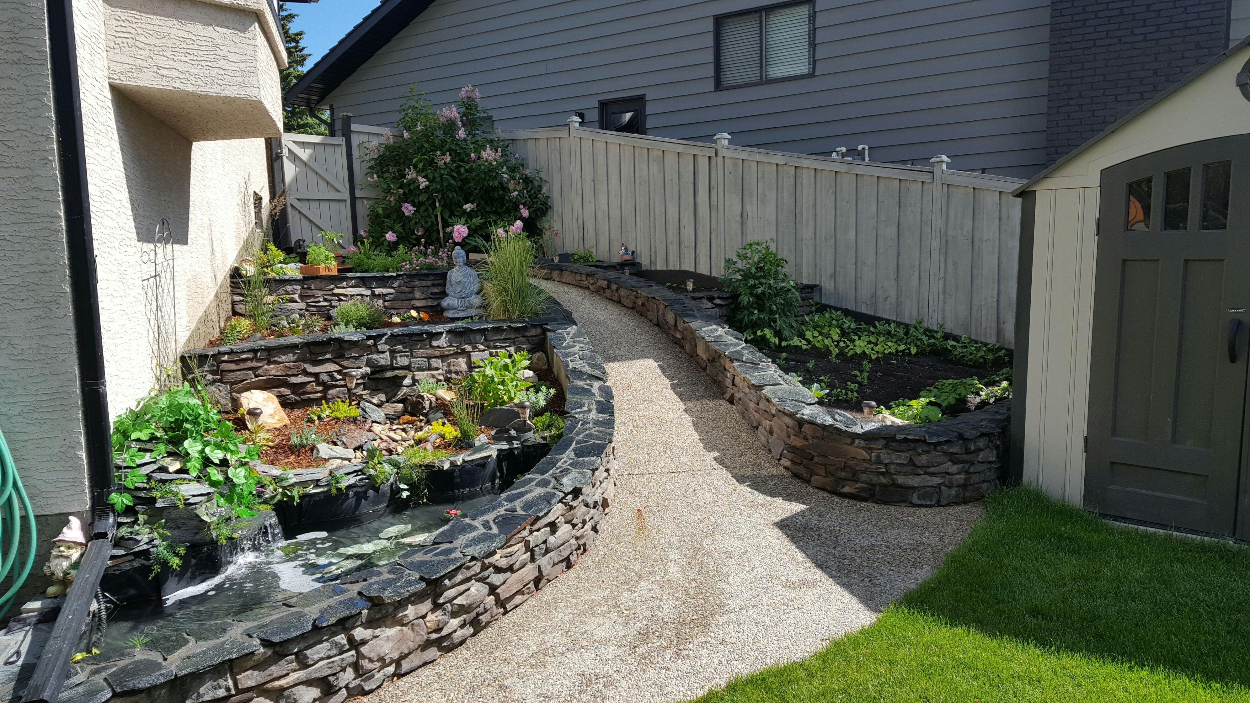 Backyard Landscaping