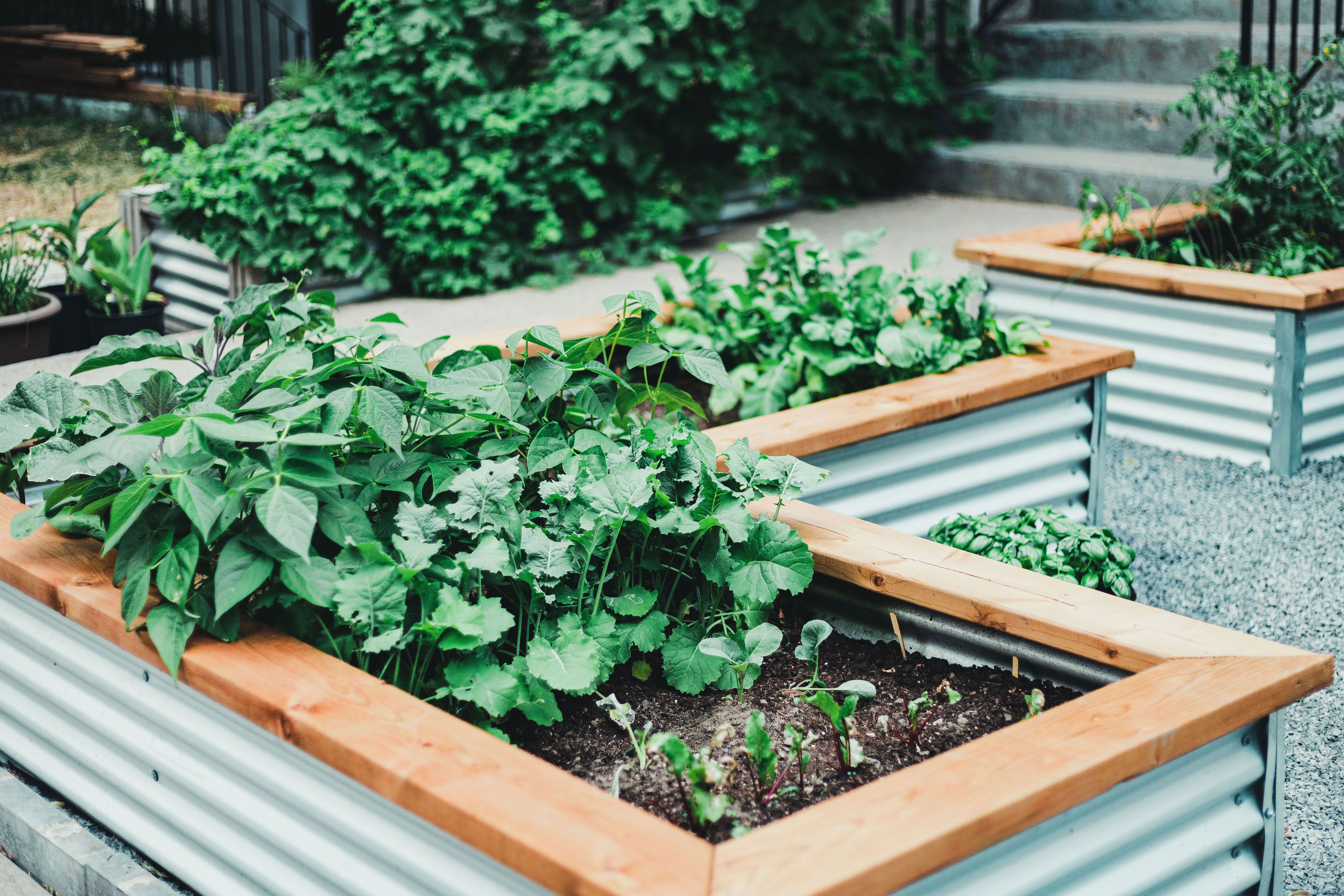 Raised Garden Bed Patio Designs