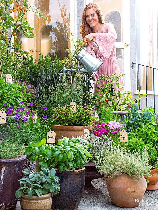 Beautiful Indoor Herb Garden Ideas Container Gardening Vegetables