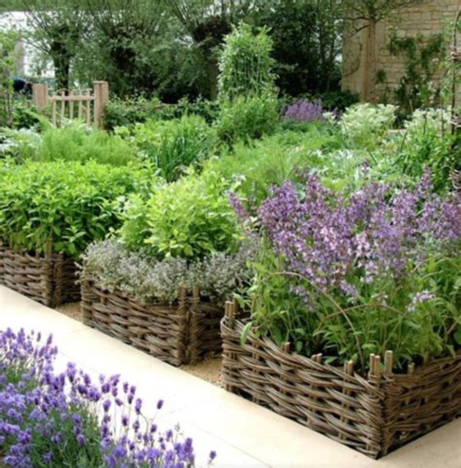 Beautiful Herb Garden