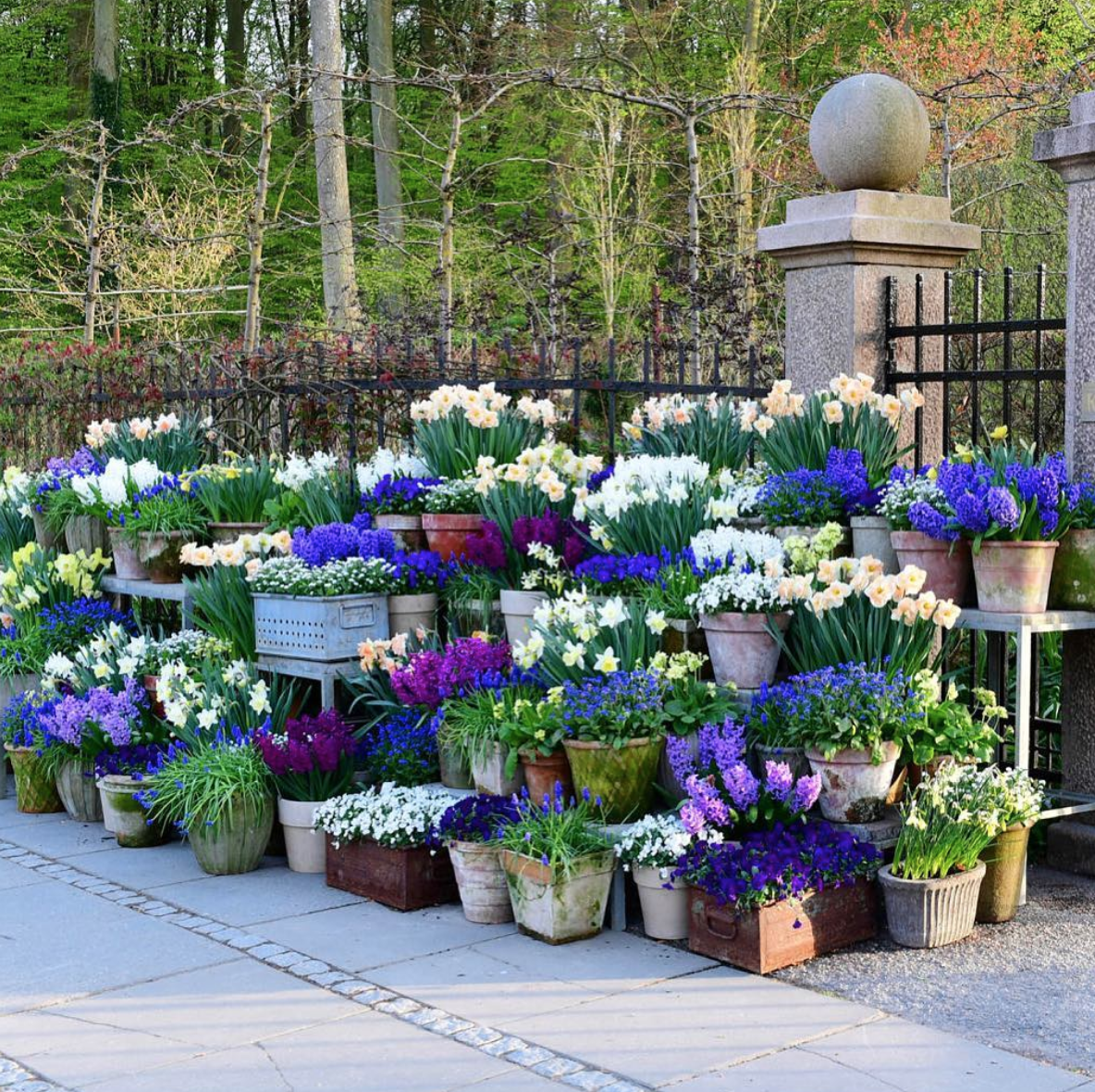 Beautiful Herb Garden Designs Sunset Magazine