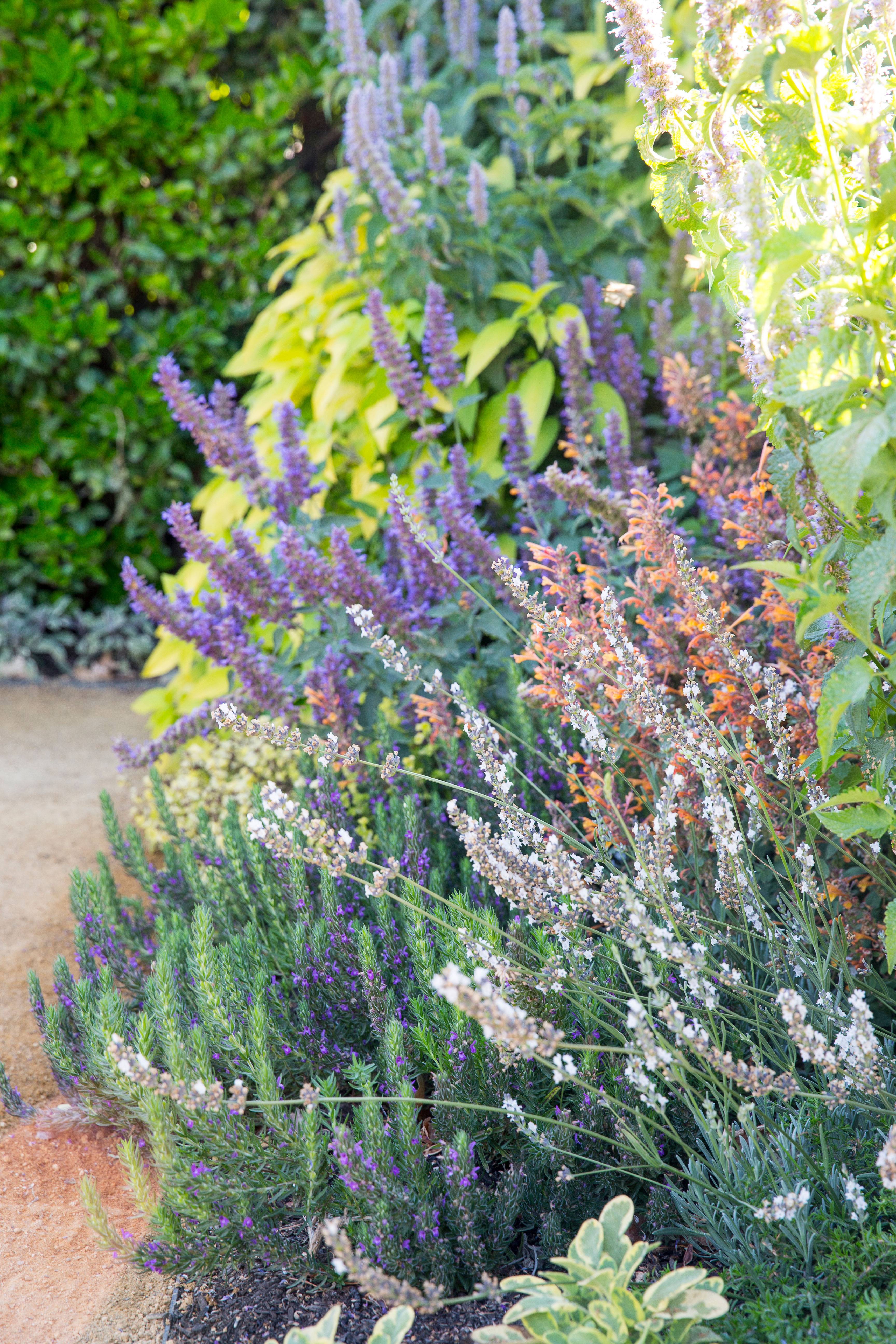 Herb Garden Design Ideas Photograph Beautiful Herb Garden