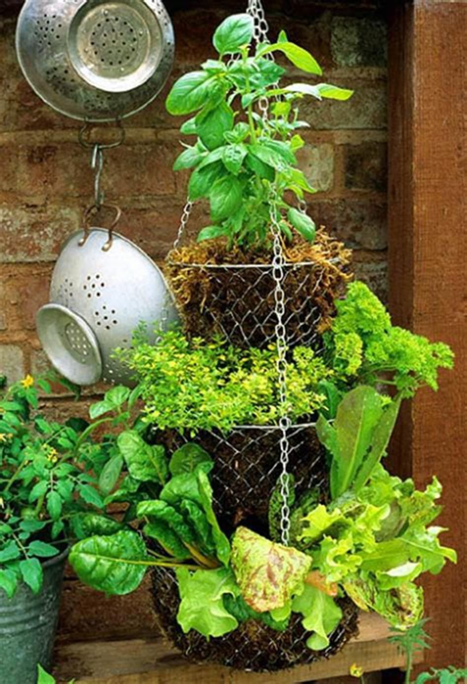 A Potager Herb Garden Herb Garden Design