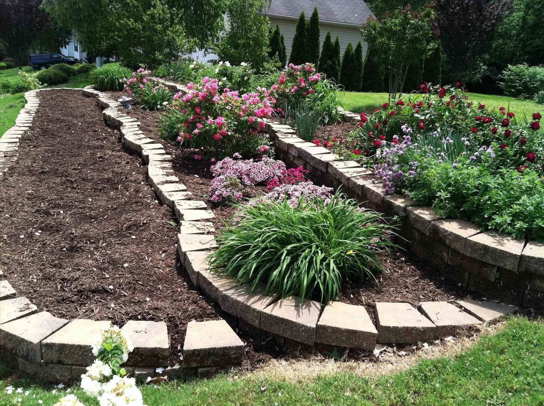 Tiered Backyard