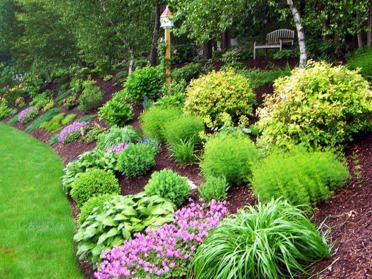 Hillside Landscaping