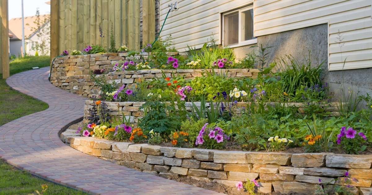 Mylandscapes Modern Garden Designers