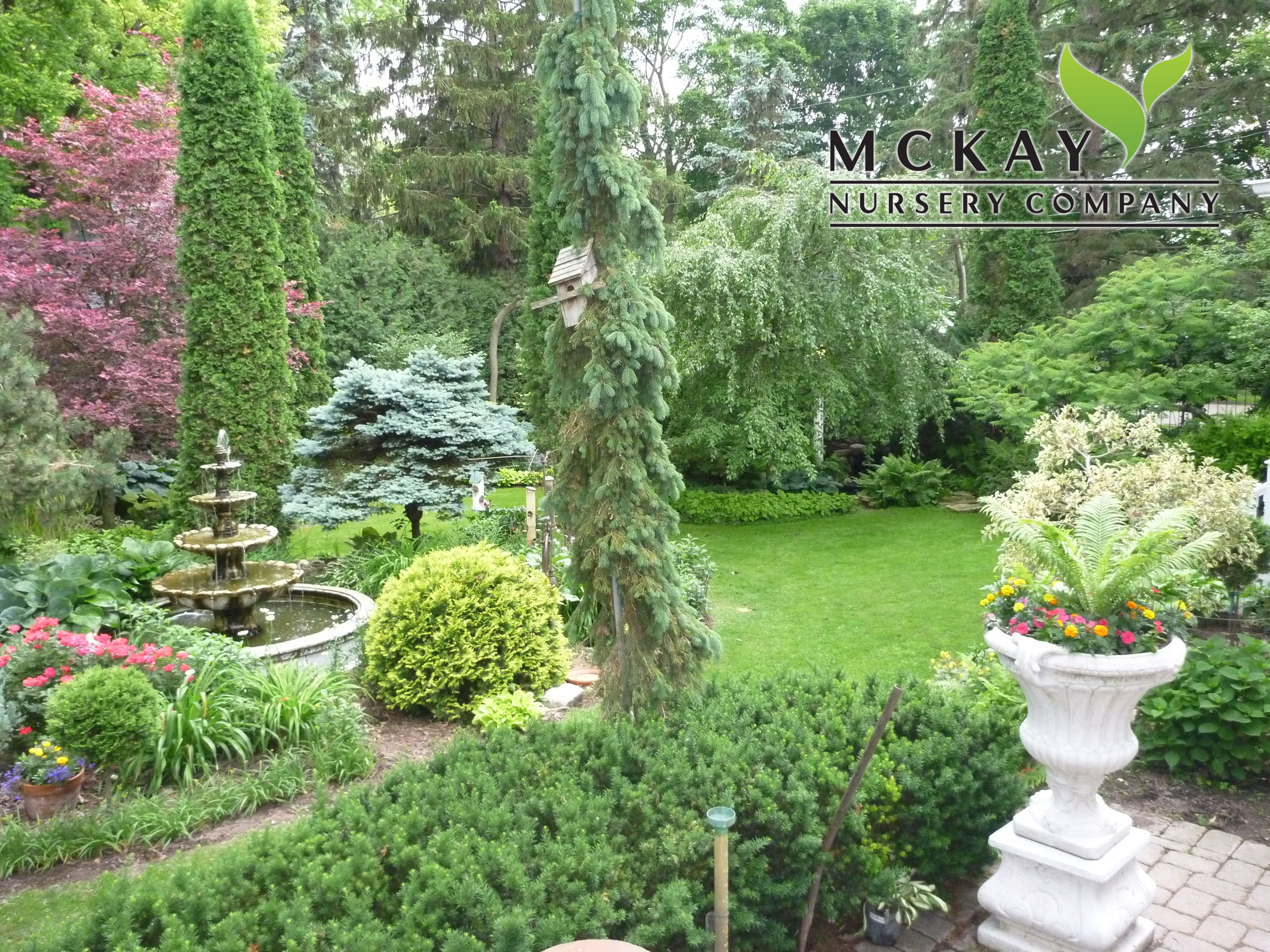 Pond Diy Backyard Landscaping