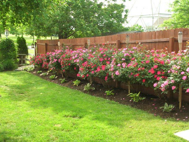 Best Corner Flower Bed Ideas